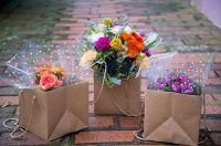 A flowery bower ( or two )
